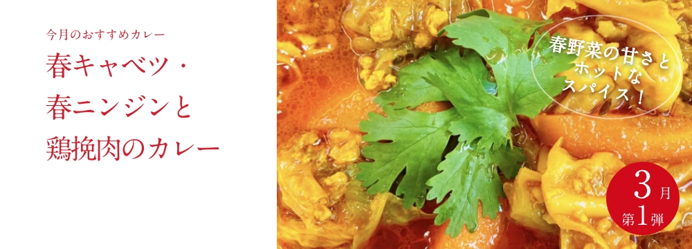 今月のおすすめ　 『春キャベツ・春ニンジンと鶏挽肉のカレー』