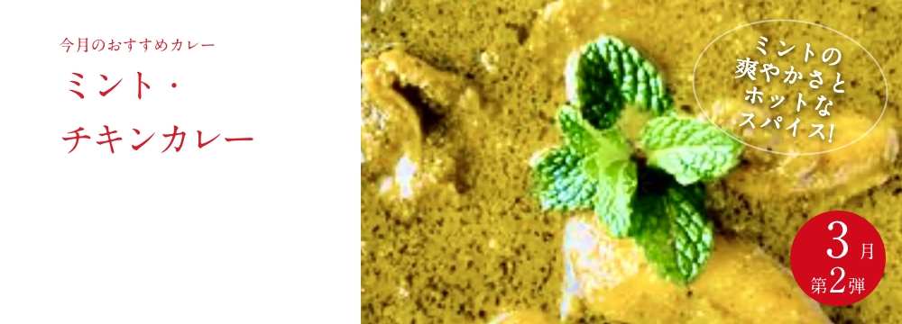 今月のおすすめ　 『ミント・チキンカレー』
